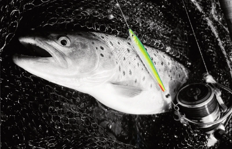 Fladen Silver Chaser 18g – Bild 2