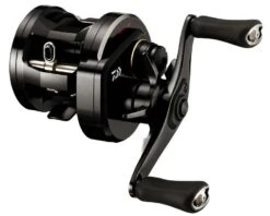 Daiwa 18 Ryoga 1520HL (Links)