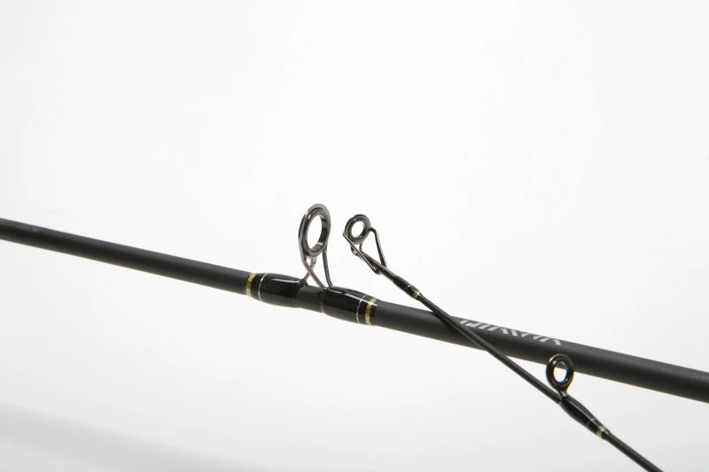 Daiwa Goldcast 2pc – Bild 2