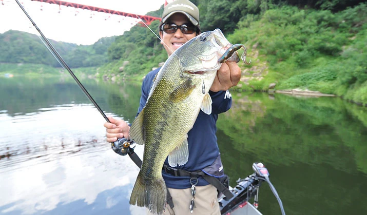 Fish Arrow Free Rig Sinker Tungsten – Bild 5