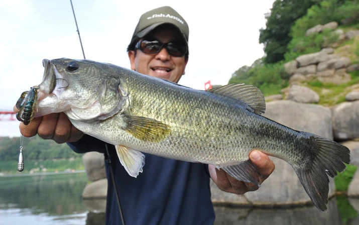 Fish Arrow Free Rig Sinker Tungsten – Bild 6