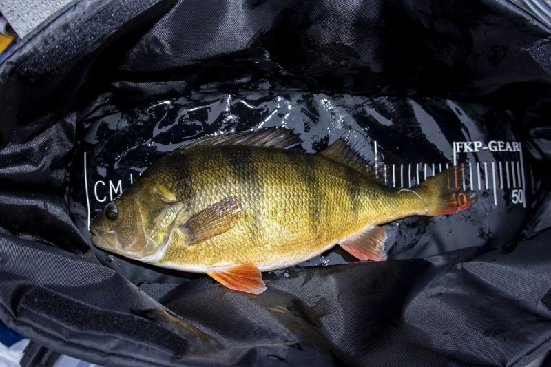 FKP-Gear Perch Station – Bild 6