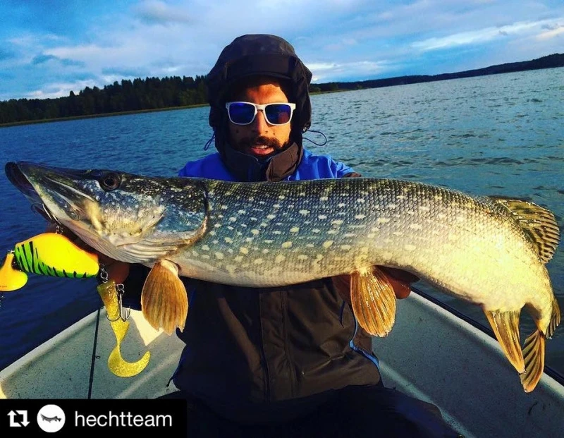 Headbanger Tail – Bild 4