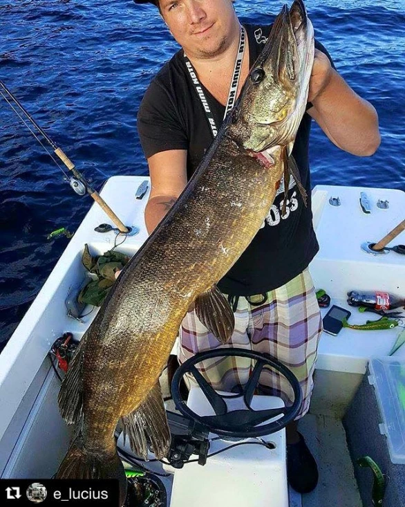 Headbanger Tail – Bild 5