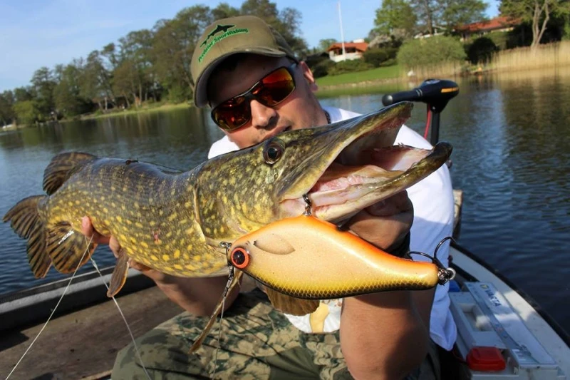 Jw Lures Big Swim Slow Sink – Bild 2