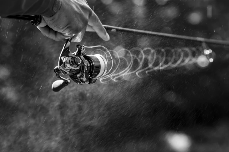 Shimano Stella FK – Bild 6